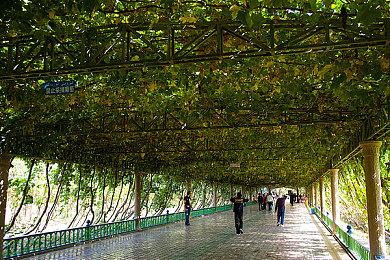 新炉石和魔兽资料片即将公布 新魔兽手游5月公开